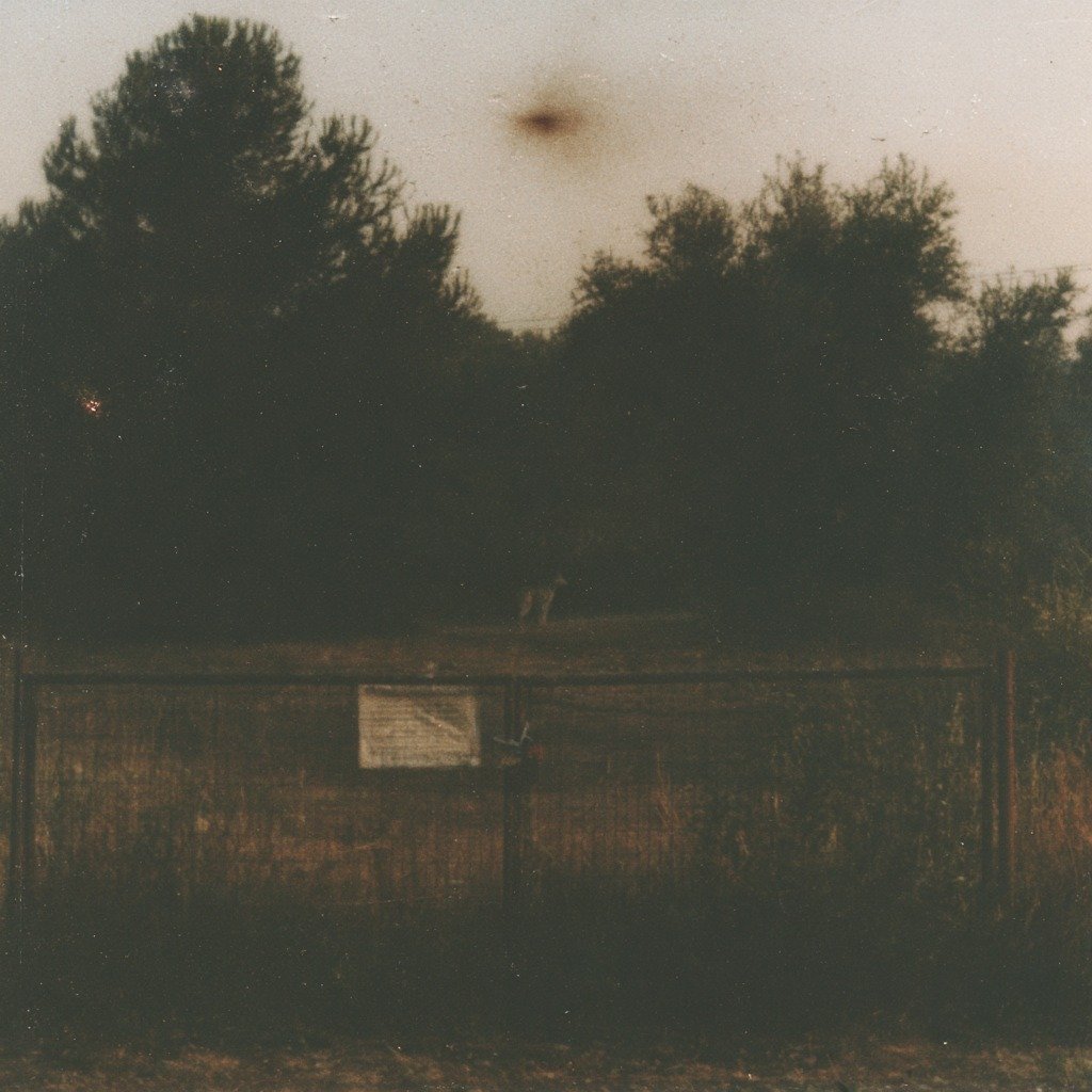 Vision for “Seen First”